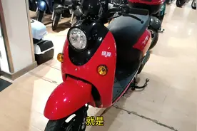 今天曝光绿源车最大的缺点，有同意的吗？#长兴林城绿源电动车视频封面