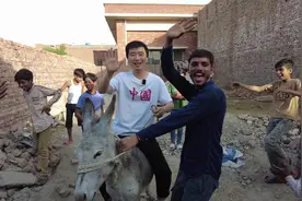 今天在巴基斯坦花了80买了一头驴，在我们国内需要多少呢？