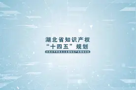 未来五年，湖北知识产权工作如何做？视频封面