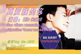 真爱就是你bie真的挺好听的，但听不懂