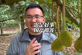 最近在大家印象里，国产榴莲是又贵又不好吃，贵真的是坏事吗