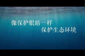 2020优秀生态环境宣传产品⑬｜宣传片《像保护眼睛一样保护生态…视频封面