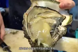 东京街头的重口美食，美女们排队生吃生蚝，鲜嫩多汁滋味新奇视频封面