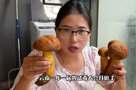 试毒大会开始了，先来碗野生菌杂烩盖饭开开胃！#野生菌视频封面