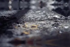 #全国火灾调查岗位东部片区比武 江苏消防，闻火而行，团队求真视频封面