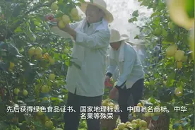 中国柠檬看四川，四川柠檬看安岳视频封面