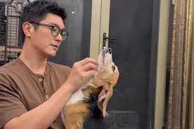 我们给她取名“珍珠”，寓意掌上明珠，也代表着不期而遇的美好