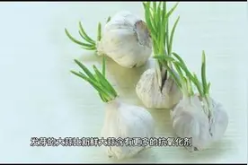 发芽的大蒜能吃吗？#生活常识 #大蒜