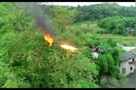 无人机如何消灭马蜂窝#马蜂窝视频封面