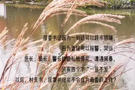 居委书记因为一句话可以跨市抓捕， 因为委屈可以报警、哭诉，视频封面