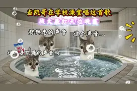 当凯哥在学校澡堂唱了这首歌 #猫meme#音乐分享 #歌曲苟活之重生