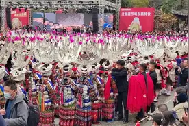 西江千户苗寨鼓节#苗族13年一度的鼓藏节的传统习俗视频封面