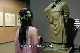 开启一场跨越时空的文明对话，与大名府的历史相遇……#大名府视频封面