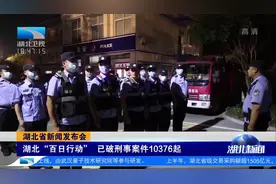湖北“百日行动” 已破刑事案件10376起