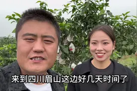 小夫妻第三年来四川，带货爱媛果冻橙，一个视频讲解清楚优缺点视频封面