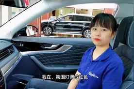 #红旗hs5 这些智能交互系统你学会（费）怎么用了吗？视频封面