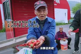 真诚的草莓爷爷奶奶让人落泪，十个勤天也从乘伞人变成了撑伞人视频封面