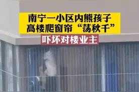 熊孩子高楼爬窗帘“荡秋千”，吓坏对楼业主 #广西新闻早知道视频封面