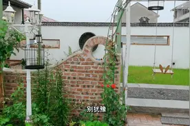 北方庭院最适合的②种花，花期最长，地栽盆栽都皮实好活的过来看视频封面