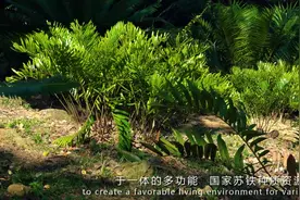 深圳仙湖植物园宣传片
仙湖植物园位于广东省深圳市罗湖区东郊…视频封面