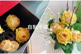 用空气炸锅！自制烘干玫瑰花🥀#抖音美食创作人 #生活美食家