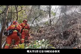 【森林草原火灾警示教育片】典型案例敲警钟，森林防火莫大意。视频封面