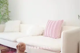 原来沙发改造这么简单…比找个男朋友简单多了…… #vlog日常