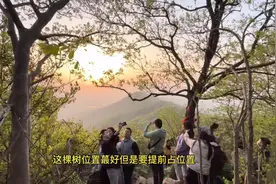 保姆级超强紫金山看日出攻略，想去紫金山看日出的朋友视频封面