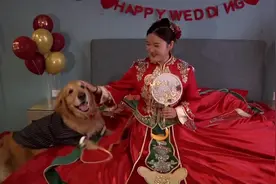 让狗狗参与到婚礼中真的是非常有意义的一件事情