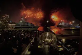 悉尼跨年烟花 #新年烟花 #烟花盛宴 #国外生活 #烟花表演视频封面