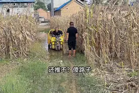 奶奶要铁锨锄粪，没想到是锄公公的大粪#记录真实生活视频封面