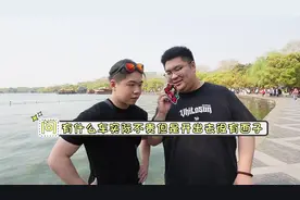 有什么车实际不贵但开出去很有面子