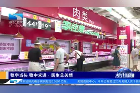 湖北降低困难群众补贴启动条件视频封面