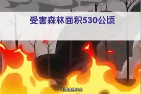 再敲警钟！国家林草局介绍四个森林火灾典型案例视频封面