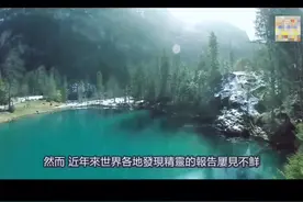 在世界各地拍摄到的小精灵 是真的吗？ 未经证实 请理性观看视频封面