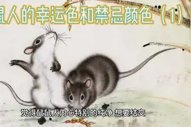 属鼠人的幸运色和禁忌色1视频封面