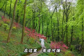 在安徽这个世外桃源，人们消费方式竟然还停留用铜钱#视频封面