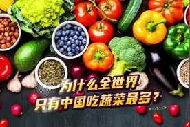 为什么中国人爱吃蔬菜？ 为什么中国人爱吃蔬菜视频封面
