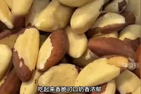生长在巴西热带雨林的鲍鱼果你尝过吗？ #鲍鱼果 #坚果 #科普