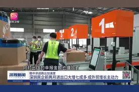 深圳前海监管中心前两个月进出口申报包裹数量及金额同比去年显…视频封面