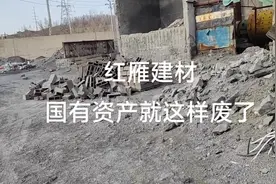 家大业大的国有资产