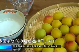 日式南高梅是如何自制低盐梅干-(上集) 如何自制低盐梅干-(上集)视频封面
