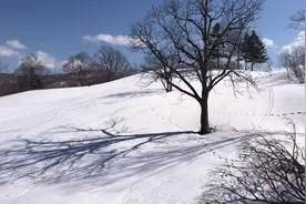 4月北海道的滑雪场还在营业哦🈺️ #北海道 #走呀去滑雪视频封面
