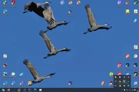 若依框架二次开发 软件开发定制 #若依框架 #期末 #Java #vue