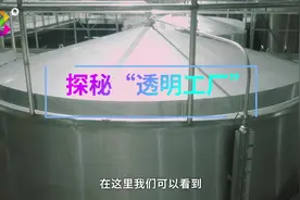 中国蓝小记者亚运好少年 参访亚运人文体验点，探秘“透明工厂”视频封面