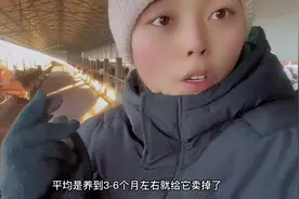 返乡养300头牛 草料常年都买 常年圈养 一天牛需要吃多少成本视频封面