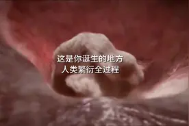 这是一期人类诞生的全过程视频，希望你认真看完视频封面