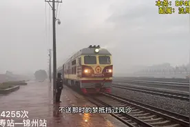 #铁路摄影 4255次叶柏寿—锦州视频封面