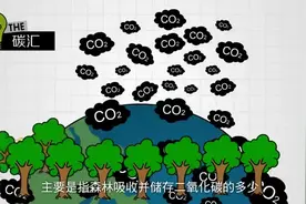 你了解什么是碳足迹吗？#全国节能宣传周视频封面