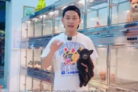 疫苗没打齐的宠物能洗澡吗？小狗能洗澡吗，小猫能不能洗澡？
